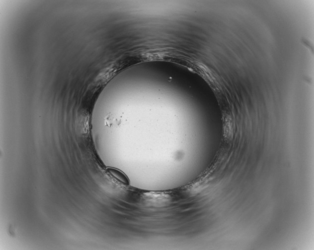 X0000097000477200802221525