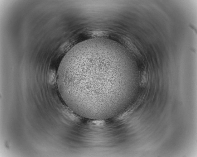 X0000097000478200802221525