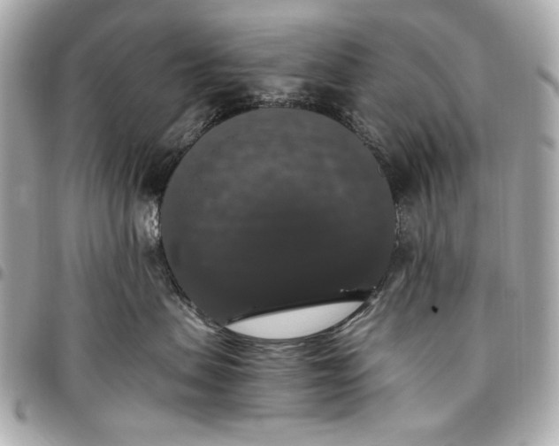 X0000097000479200802221525