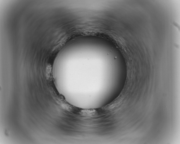 X0000097000480200802221525