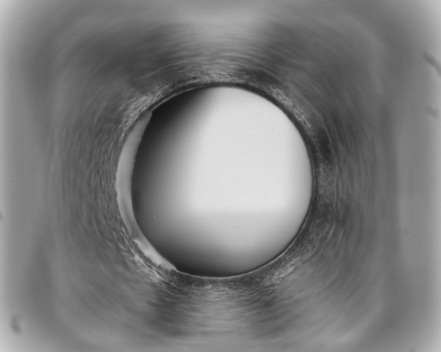 X0000097000481200802221524