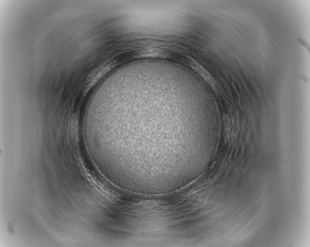 X0000097000482200802221524