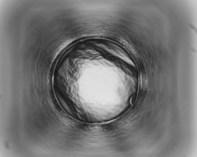 X0000097000483200802221524