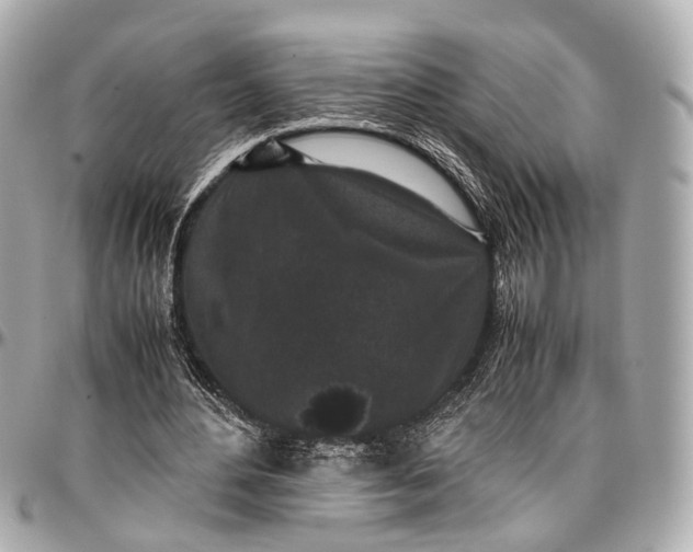 X0000097000484200802221524