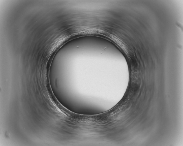 X0000097000485200802221524