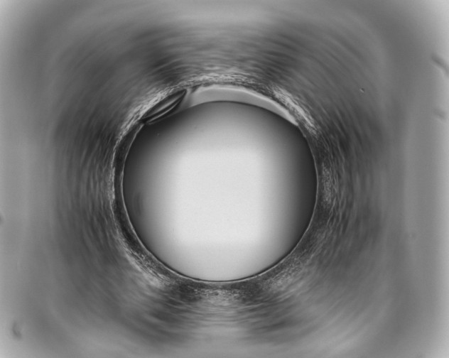 X0000097000486200802221524