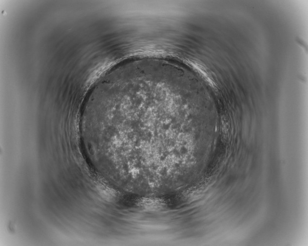 X0000097000487200802221524