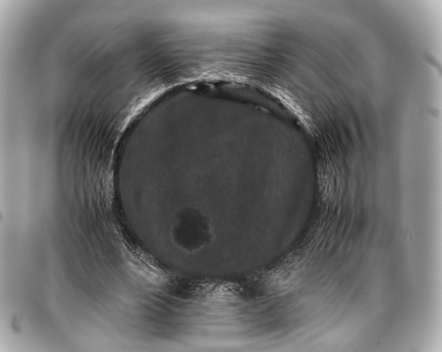 X0000097000488200802221524