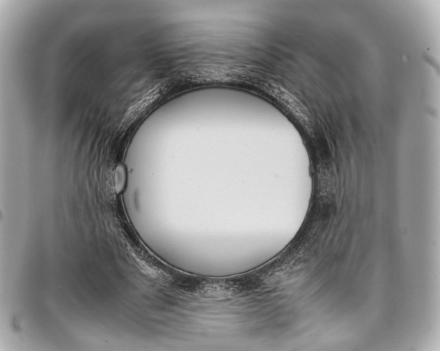 X0000097000489200802221524