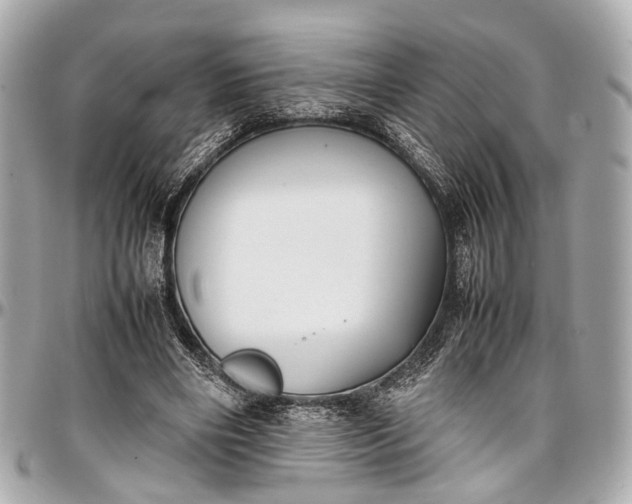 X0000097000490200802221524