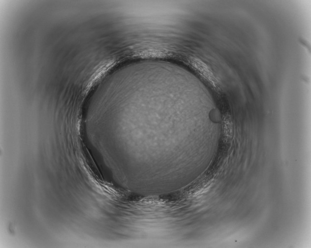 X0000097000491200802221524