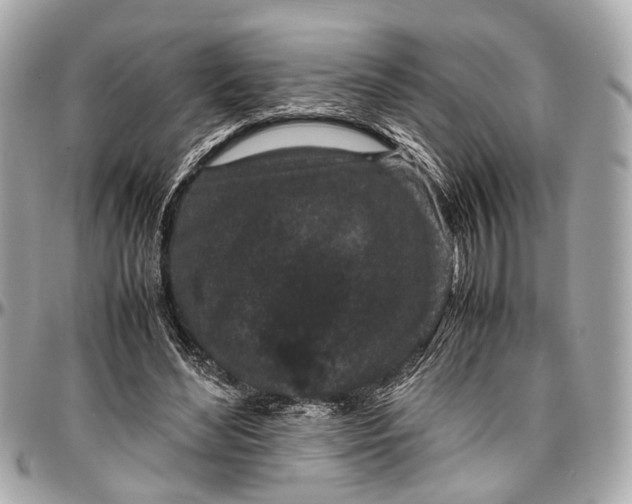 X0000097000492200802221524