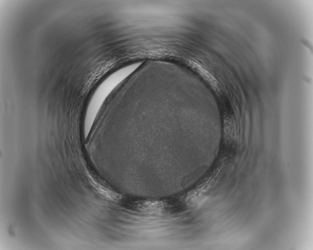 X0000097000493200802221524