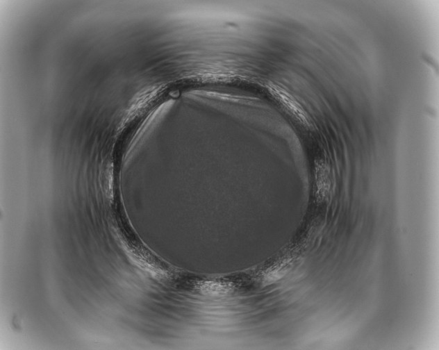 X0000097000494200802221524