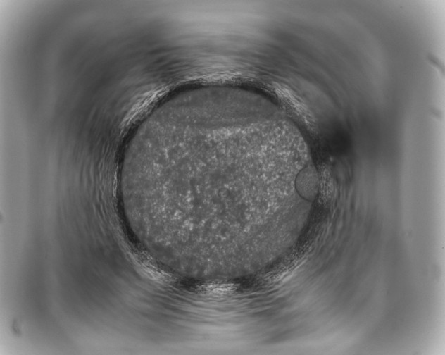 X0000097000495200802221524