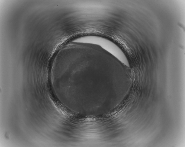 X0000097000496200802221524