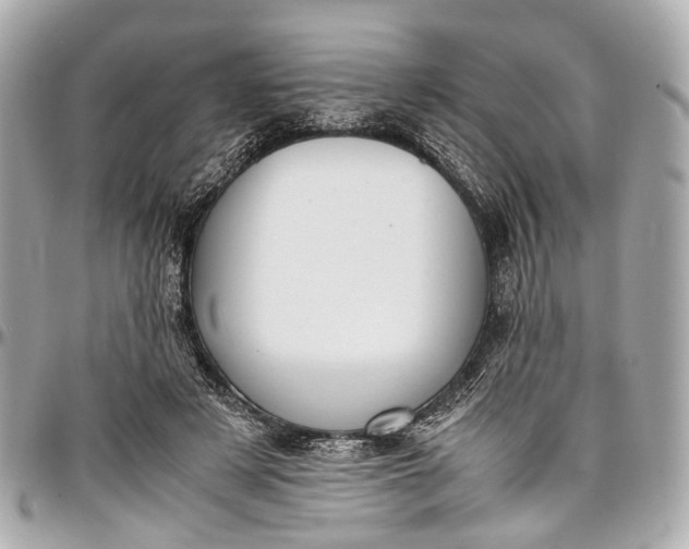 X0000097000497200802221524