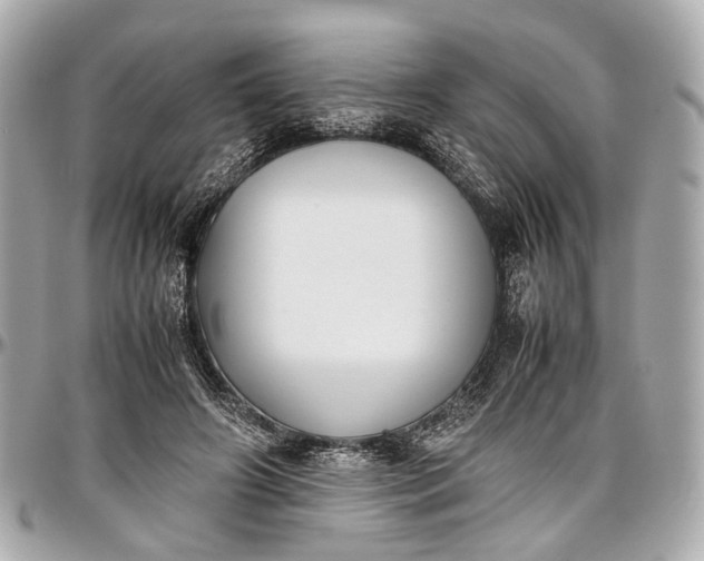 X0000097000498200802221524