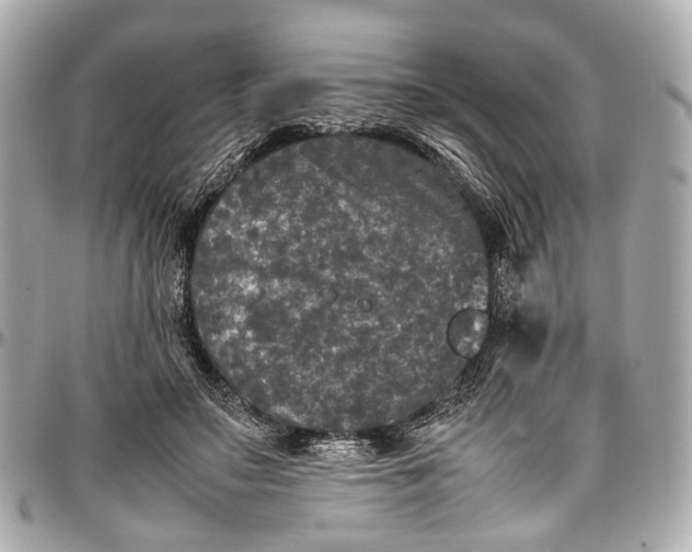 X0000097000499200802221524