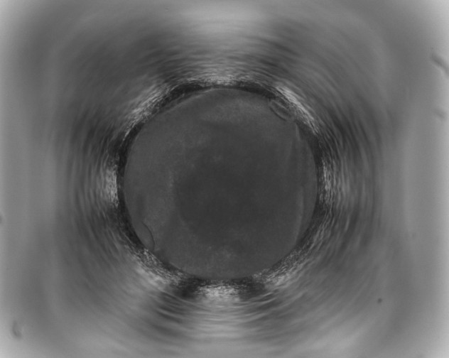 X0000097000500200802221524