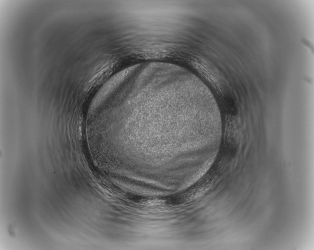 X0000097000501200802221524