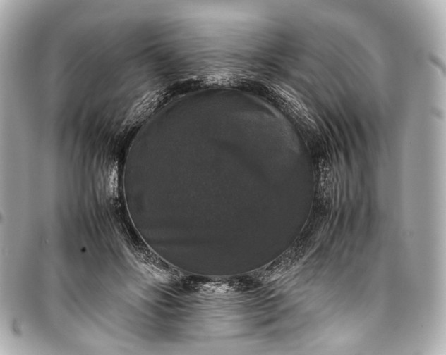 X0000097000502200802221524