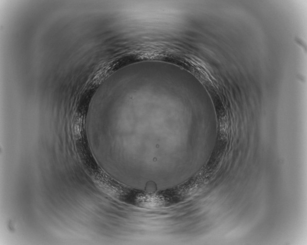 X0000097000503200802221524