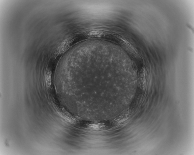 X0000097000504200802221524