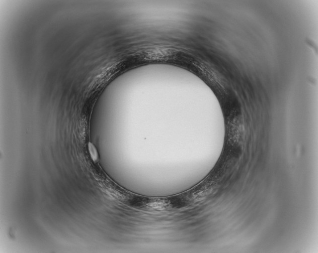 X0000097000505200802221524