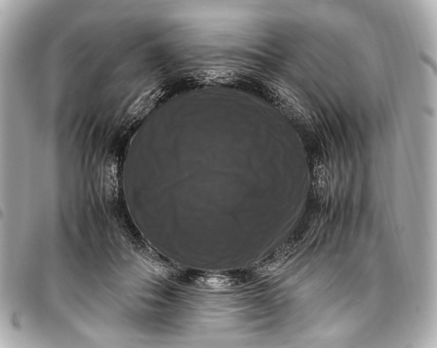 X0000097000506200802221524