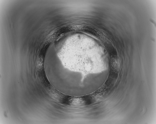 X0000097000507200802221524