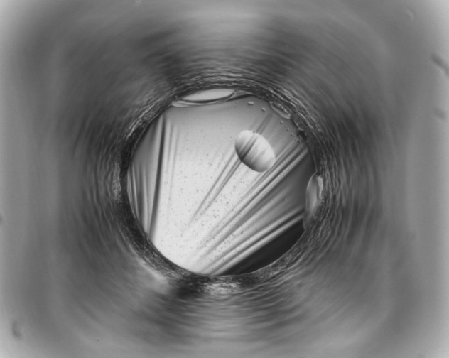 X0000097000508200802221524