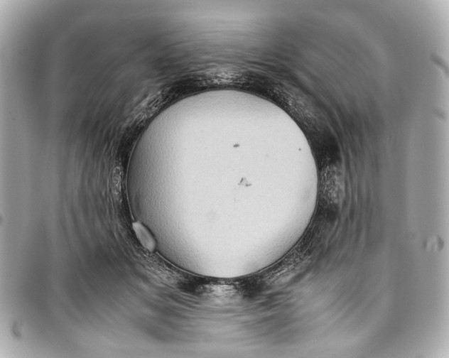 X0000097000509200802221524