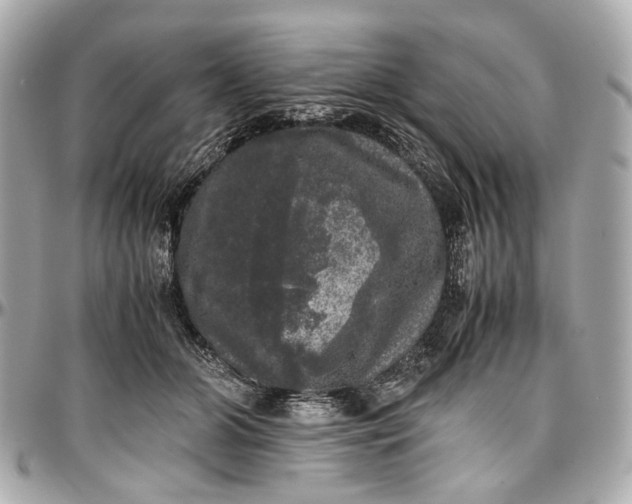 X0000097000510200802221524