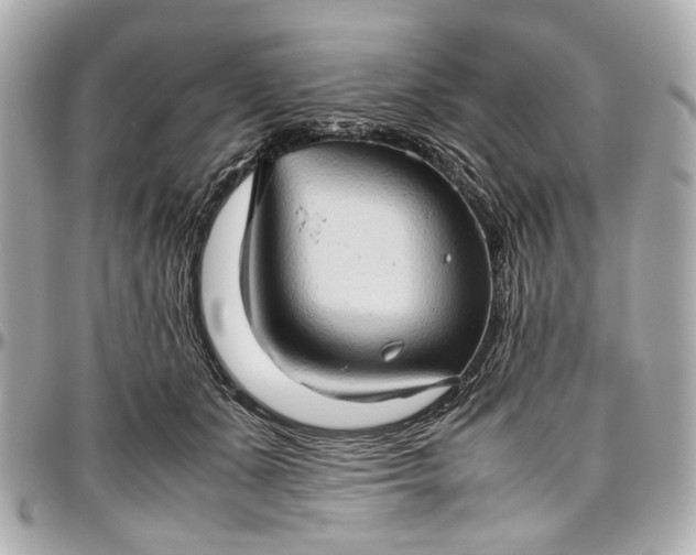 X0000097000511200802221524