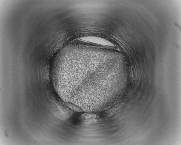 X0000097000512200802221524