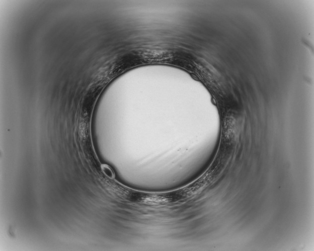 X0000097000515200802221524