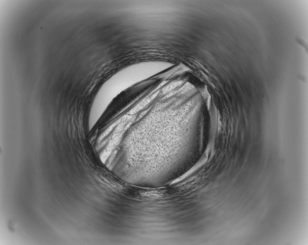 X0000097000516200802221524