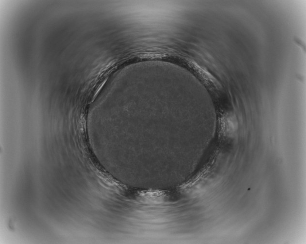 X0000097000517200802221524