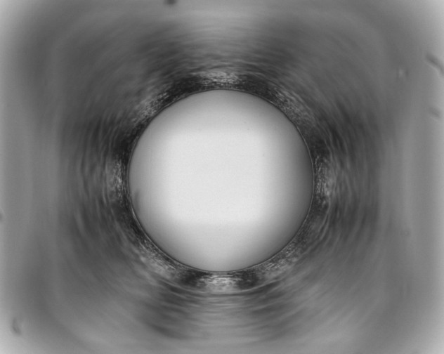 X0000097000518200802221524