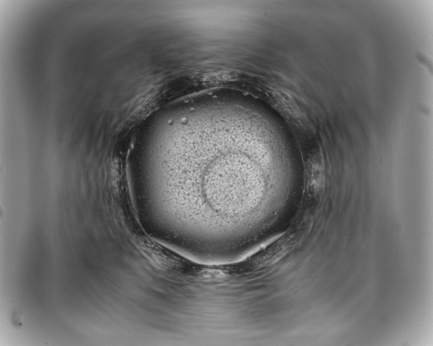 X0000097000519200802221524