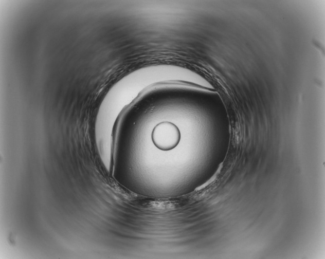 X0000097000520200802221524