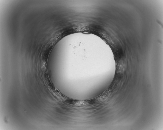 X0000097000521200802221524