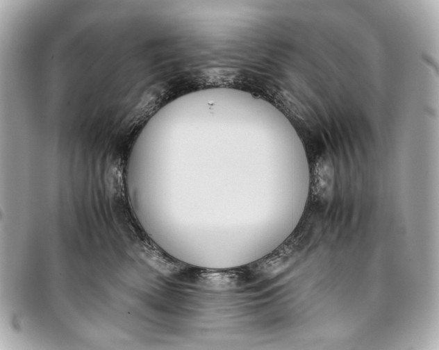 X0000097000522200802221524