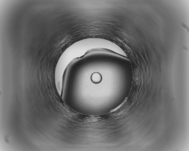 X0000097000523200802221524