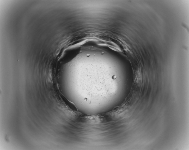 X0000097000524200802221524