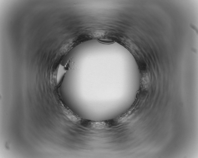 X0000097000525200802221524