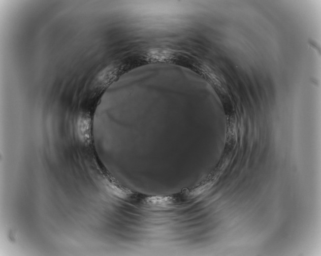 X0000097000526200802221523