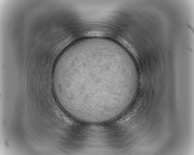 X0000097000529200802221523