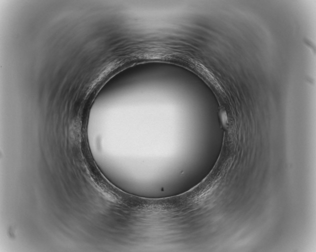 X0000097000530200802221523